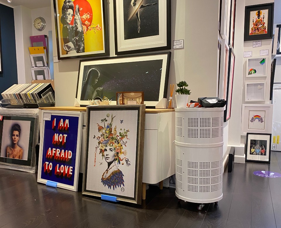 EueLike Gallery using Rensair hospital grade airpurification